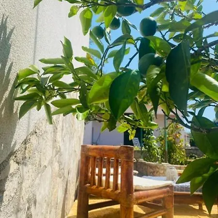 Apartment Island Solta Comfort Modesty Necujam